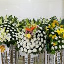 중앙장의사 이미지