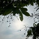 가나골프클리닉 이미지