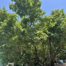 진주세차장 이미지