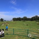 제주 관광객 1천500만명 시대 눈앞…2년 앞당겨 목표달성 이미지