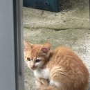 지에스(GS)25 익산서동공원점 이미지