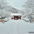 선운사