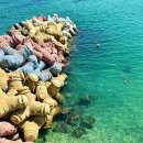 강릉하파펜션 이미지