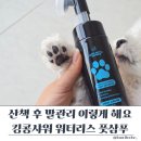킹콩샤워 - 안성시 중앙로 96-9 | 강아지 풋샴푸 추천 산책 후 발관리 편했던 킹콩샤워 후기