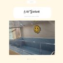 스마일베베 | 대구 앞산 키즈풀파티룸 ‘스마일베베’ 방문 후기