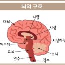 소리청대남한의원 이미지