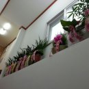 태흥농장 이미지