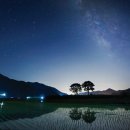 별빛사냥 이미지