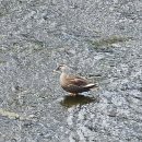 조금느린집 이미지