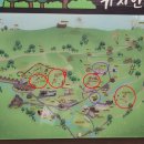 초부리유아숲체험원 이미지