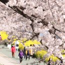 온천천일대14 뉴스1