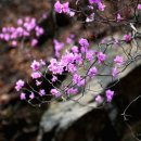 대구공항 관광안내소 이미지