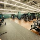 얼라이브 피트니스 이미지