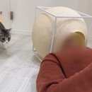 숨숨집 이미지