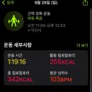 더마중 이미지