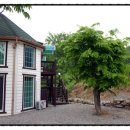 고북벨리 이미지