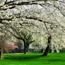 경동한의원 이미지