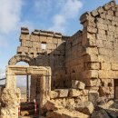 Lion PC Cafe 이미지