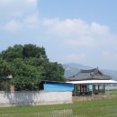 금지면 금평마을 이미지