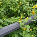 공인씨엠번역행정사 사무소 이미지