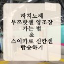 아오모리여행 하치노헤 무쯔핫센 양조장 가는 법 스이카로 신칸센 탑승후기