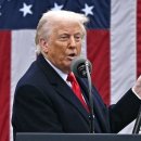 하루새 0%→25%... 한국, 美와 FTA 체결국 중 관세 가장 높은 이유 이미지