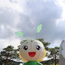 안성 하늘태권도 | 무주여행 구천동계곡 무주반딧불축제