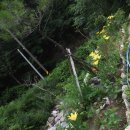 승희네농장 이미지