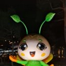 또리와 아로 이미지