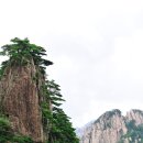 심원옹달샘 이미지