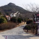 솔바위 이미지