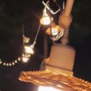 조명의신
