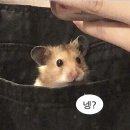 마파경로당 | 수족관