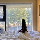 속초스파랜드(주) | 개별 실내수영장과 스파가 있는 속초풀빌라 '라헨느풀빌라J' 202호