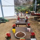 진해기술지원과(진해농업기술센터) 이미지