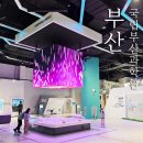 기장디지털도서관 | 부산 실내 아이랑 가볼만한곳 BEST1 국립 부산과학관