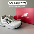 러닝화 추천 뉴발 퓨어셀 프로펠 내돈내산 운동화 후기