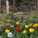 NO.9 넘버나인 펜션 이미지