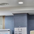 물반고기반 | [물반고기반]청주 강서동 대방어 조개탕 후기 (내돈내산)
