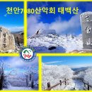 천안7080산악회 제 329차 정기산행_강원도 태백산 이미지