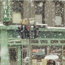 오늘부터 사진작가 이미지