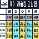 케이레슬링 멀티짐 강남선릉점 | 서울 mma 레슬링 체육관 / 그레코로만형 vs 다게스탄 레슬링? 케이WRESTLING 선릉