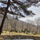 바보산행기(17-8) 이미지