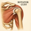 운동백서PT | [회전근개 파열의 모든 것 A~Z] 이것만 알면 회전근개 걱정 끝 !