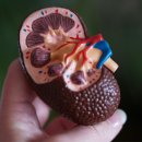 온누리병원 이미지