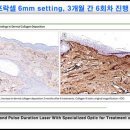 세종스노우의원 이미지
