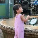 대단이옷장 이미지