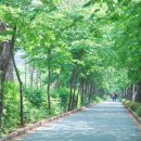 서리풀공원1-30 이미지