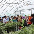 그린레일 이미지