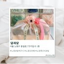 달과담